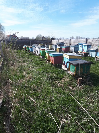 Zdjęcie 10