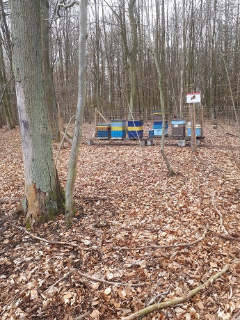 Zdjęcie 13
